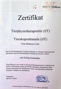 IFT zertifikat